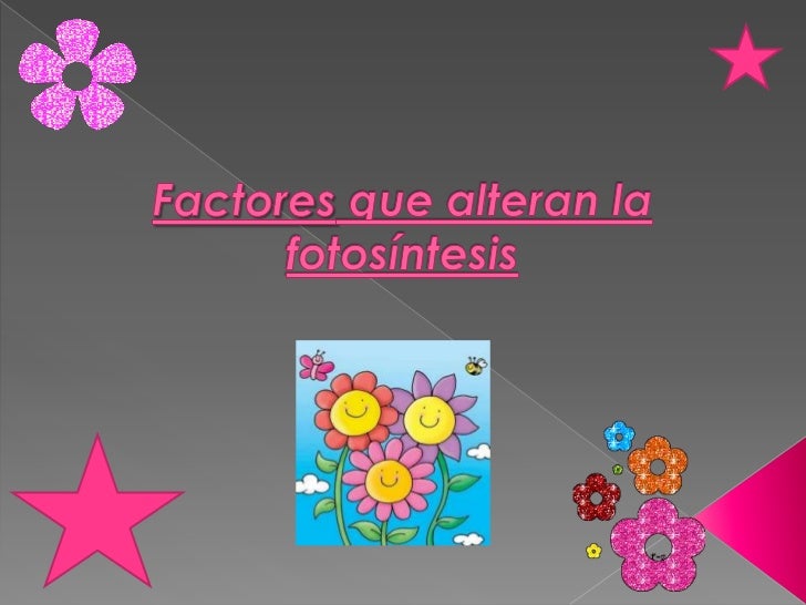 factores que alteran la fotosintesis factores que alteran la fotosintesis
